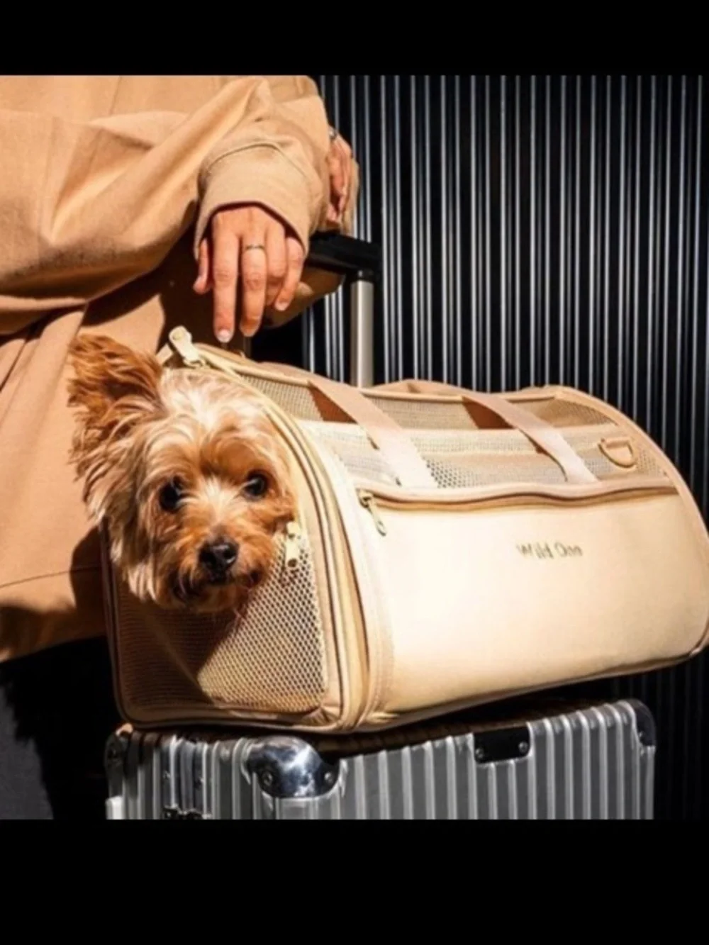 Wild One Airline Soft Mesh Beige Tan Small Pet Carrier 18 Inches